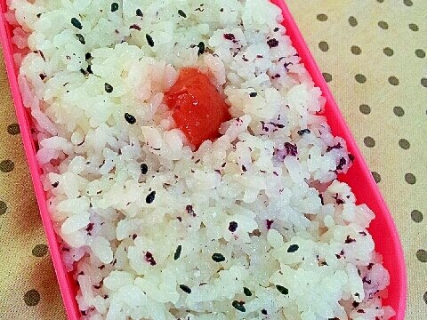 ✿お弁当に酢飯ごはん❤中身は梅＆ゆかり＆ごま